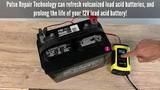 12V Smart Battery Charger W/ Pulse Repair Technology by Newport