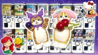 Mystery Capsule Figures from Japan | Mofusand | Sanrio | Disney | Miniature Food | FULL SETS