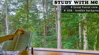 Study with Dermatology resident in a morning forest STUDY WITH ME 1HR REAL TIME REAL SOUND BONFIRE