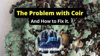 What Coir Should You Buy for Mycology? How to Avoid Trich, and Getting Perfect Moisture Content