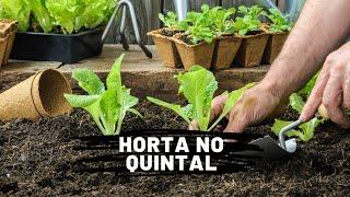 COMO FAZER HORTA NO QUINTAL PASSO A PASSO