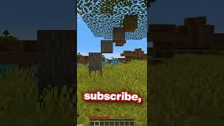 Minecraft But When You Subscribe, the Video Ends...