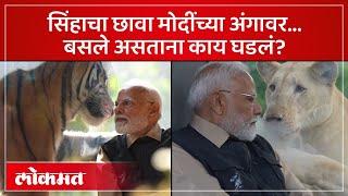 नरेंद्र मोदी बसलेले मागून सिंह, वाघ आले..काय घडलं? Modi inaugurates Vantara in Jamnagar Gujarat |AM4