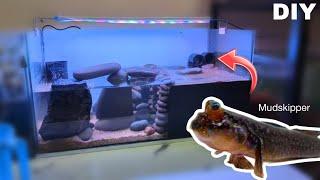 Mudskipper Tank Setup | Aquarium Setup