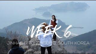 JINHAE & TONGYEONG, SOUTH KOREA // EXCHANGE WEEK 6