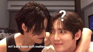 ATEEZ Seonghwa & Yeosang lil moments| Baby bean soft maltese raWr