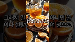 보리수! 알고 먹자구요!