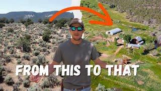 Regenerative Farm in the High Desert growing trees and cows