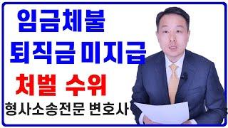 형사소송 임금체불 퇴직금 미지급 처벌 수위 (형사 전문 변호사) 근로기준법 위반, 퇴직급여보장보험법 위반 사례와 실제 형량을 소개합니다.