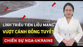 Chiến sự căng thẳng ở Donetsk, Ukraine rút lui ở khu vực rừng và tiến công ở thành phố