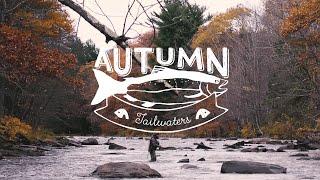 Autumn Tailwaters - Fall Fishing & Wild Trout in the Catskills