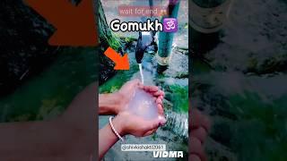 Gomukh 