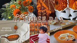 COZY OCTOBER DAY  | Marigold Farm, Crafting, Baking, & Halloween Activities