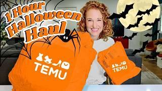 Hour Long Temu Haul | Halloween and Fall