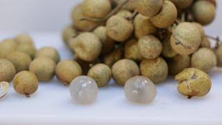 How to eat Longan fruit | What does Longan Taste like