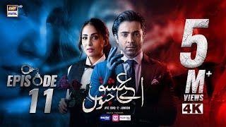 Aye Ishq e Junoon Episode 11 | Ushna Shah | Sheheryar Munawar | 16 Dec 2024 (Eng Sub) | ARY Digital