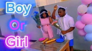 Vin Konnen Sex Bb An Avèk Nou Gender reveal  it’s a …