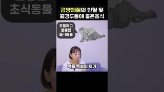 금양체질의 철분이 풍부한 식품