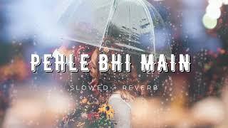 Pehle Bhi Main (Slowed + Reverb) | Vishal Mishra | Animal | Lofi Song | Something Fresh |