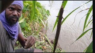 Fishing on the river side || Look what I caught  || Must watch || #Adventure