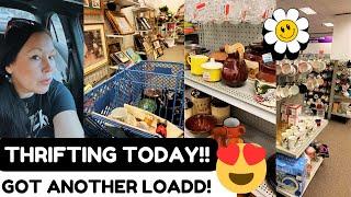 THRIFT WITH ME—Fab Update! Fun Haul! Look!