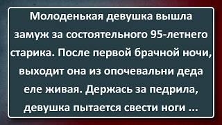 Пахучая Женщина и Молодуха Верхом на 95-летнем Дедушке! Подборка Лучших Анекдотов Синего Предела