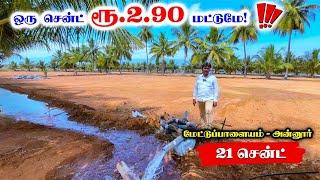 ️Farmland for sale Rs. 2,90,000 per cent| Land for sale | land sale in coimbatore