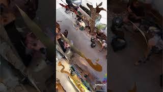 3d scan Frenkel Cafe, Tel Aviv