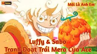 [Lù Rì Viu] One Piece Sabo & Luffy Tranh Đoạt Trái Mera Của Ace Hoả Quyền ||Review one piece