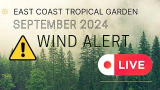 Gorleston Garden Live Webcam Windy Day Alert #wind #webcam #live