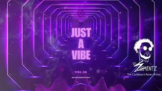 JUST A VIBE ( VOL.30 ) | Hiphop mix 2024 | Bashment Mix 2024 | Dancehall 2024 mix | Remix 2024