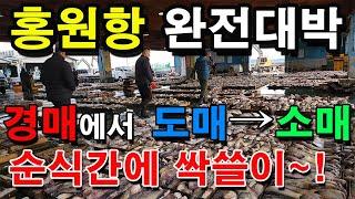 홍원항 수산시장 대박 갑오징어, 곰치, 도다리, 아귀 순식간에 다 팔려~!!!/서천 여행