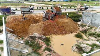 New project to pour soil into the fence by running MINI Bulldozer With Dump Trucks Delivery