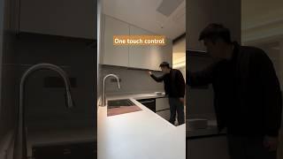 One touch control the intelligent down and liftup inside holder basket #kitchencabinetdesign
