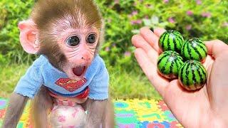 BonBon Macaquinho Faz Gelatina Arco-íris com Amigo Patinho - BonBon Em Português