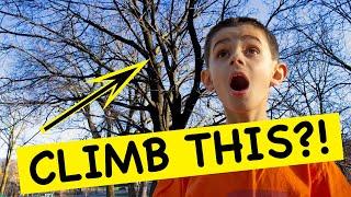 TREE CLIMBING BASICS FOR KIDS - How to Climb a Tree for Beginners!