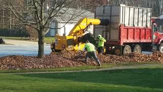 Where have I been? | Who would have thought leaf pickup was so exciting to watch?   | What's next?