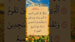 آيات من الذكر الحكيم