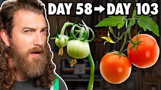 Watching Foods Grow At Crazy Fast Speeds