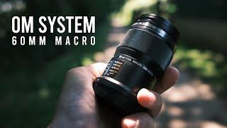 Mein liebstes Makro Objektiv! OM System M.Zuiko 60mm Makro