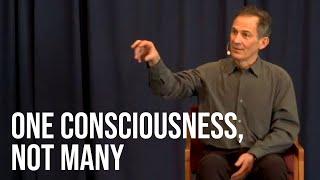 There Is Only One Universal Consciousness, Not Billions of Individuals