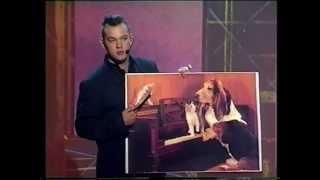 Stewart Lee - Dog and Kittens Postcard