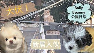 新居入伙遇到大伏屋！‍️波豆公園散步日常