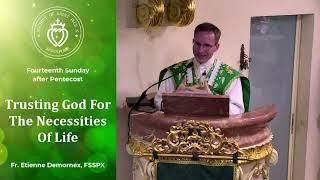 Trusting God For The Necessities Of Life - Sermon by Fr Demornex (25 Aug 2024)