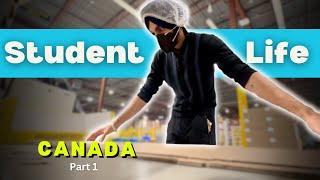 WAREHOUSE LIFE: My FIRST JOB EXPERIENCE in Canada (2024)