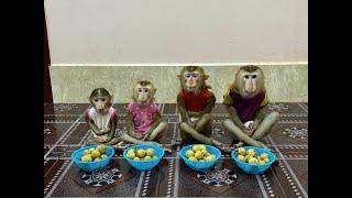 4 Siblings Sit Meditating Very Calmly Waiting Mom To Come & Join Them Dessert Treat ,