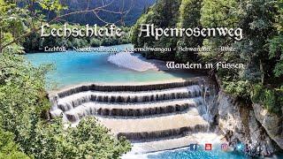 Wandern in Füssen  /  Lechschleife - Alpenrosenweg