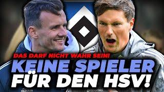 HSV WIRD KEINE SPIELER KAUFEN! WINTERTRANSFER FÄLLT AUS!