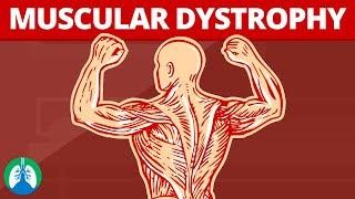 Muscular Dystrophy (Medical Definition) | Quick Explainer Video