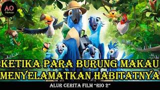 KETIKA PARA BURUNG MAKAU MENYELAMATKAN HABITATNYA | ALUR CERITA FILM RIO 2